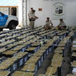 Incautadas cerca de seis toneladas de marihuana en lo que va de año en Argentina