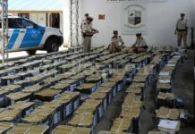 Incautadas cerca de seis toneladas de marihuana en lo que va de año en Argentina