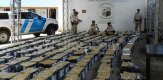 Incautadas cerca de seis toneladas de marihuana en lo que va de año en Argentina