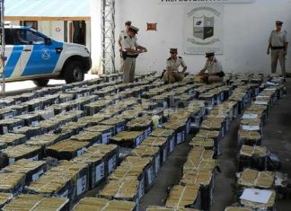 Incautadas cerca de seis toneladas de marihuana en lo que va de año en Argentina