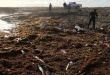 Hallados en Curazao restos de cadáveres que podrían ser de balseros venezolanos