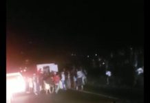 Impiden paso en Autopista Regional del Centro para saquear camiones con comida