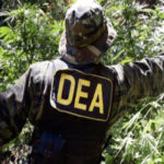 Morales asegura que sin la DEA la coca ilegal se redujo a la mitad en Bolivia