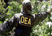 Morales asegura que sin la DEA la coca ilegal se redujo a la mitad en Bolivia