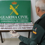 Desarticulado un grupo organizado dedicado al tráfico de drogas en Córdoba