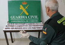 Desarticulado un grupo organizado dedicado al tráfico de drogas en Córdoba