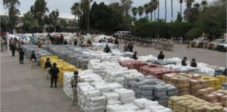 Decomisados en Dominicana mil 500 kilos de cocaína: detenidos venezolanos