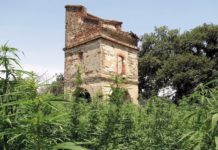 Francia generalizará multas de 150-200 euros por consumir cannabis