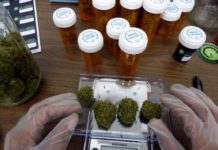 Nuevo estado de EEUU avanza hacia legalización de la marihuana recreativa