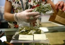 Canadá se une a Uruguay como país que legaliza el uso del cannabis