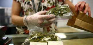 Canadá se une a Uruguay como país que legaliza el uso del cannabis