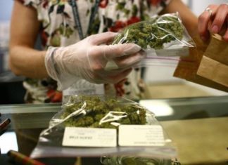 Canadá se une a Uruguay como país que legaliza el uso del cannabis