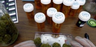 Nuevo estado de EEUU avanza hacia legalización de la marihuana recreativa