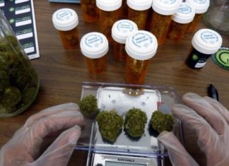 Nuevo estado de EEUU avanza hacia legalización de la marihuana recreativa