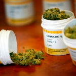 Trump amenaza la ola de legalización de la marihuana en diferentes estados