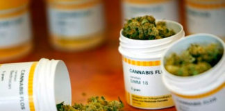 Gran Bretaña estudia prohibición de marihuana medicinal