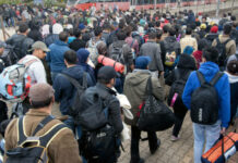 La migración venezolana supera los 9 millones y redirige su ruta hacia España