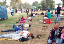 Informe OMS: Epidemia de paludismo en Venezuela a niveles de Yemen, Sudán y Nigeria