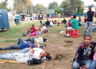 Informe OMS: Epidemia de paludismo en Venezuela a niveles de Yemen, Sudán y Nigeria