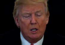 Trump nominó a Kirsten Madison para liderar la batalla antidrogas en EE.UU.