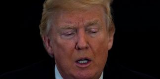 Trump nominó a Kirsten Madison para liderar la batalla antidrogas en EE.UU.