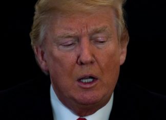 Trump nominó a Kirsten Madison para liderar la batalla antidrogas en EE.UU.