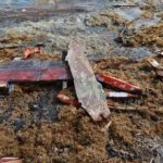 Una adolescente que quería ayudar a su familia murió en naufragio de Curazao