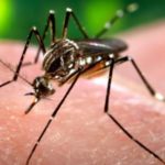 En Anzoátegui se confirmó más de 10 mil casos de paludismo