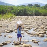 El negocio migratorio de las bandas criminales en la frontera colombo- venezolana