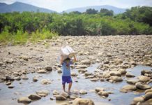 El negocio migratorio de las bandas criminales en la frontera colombo- venezolana