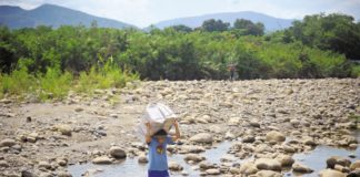El negocio migratorio de las bandas criminales en la frontera colombo- venezolana