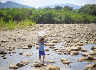 El negocio migratorio de las bandas criminales en la frontera colombo- venezolana