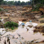 Parlamento venezolano investigará masacre de 18 mineros en choque con Ejército