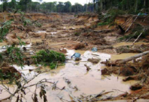 Parlamento venezolano investigará masacre de 18 mineros en choque con Ejército