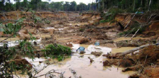 Parlamento venezolano investigará masacre de 18 mineros en choque con Ejército