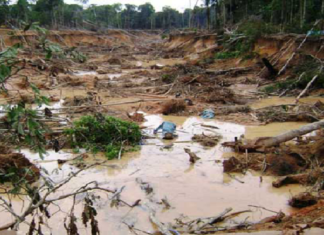 Parlamento venezolano investigará masacre de 18 mineros en choque con Ejército
