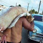 Penas de hasta 18 años de cárcel a empleados de firma cubana por malversación