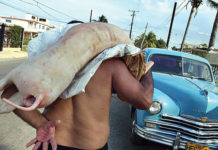 Penas de hasta 18 años de cárcel a empleados de firma cubana por malversación