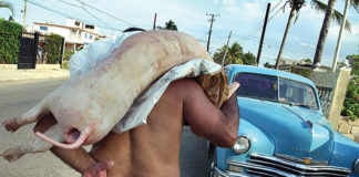 Penas de hasta 18 años de cárcel a empleados de firma cubana por malversación