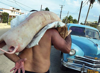 Penas de hasta 18 años de cárcel a empleados de firma cubana por malversación