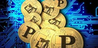 Las incógnitas en torno al petro