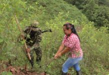 Campesinos colombianos retienen a policías que erradicaban cultivos de coca