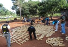 Incautan en Argentina 604 kilos de marihuana procedente de Paraguay