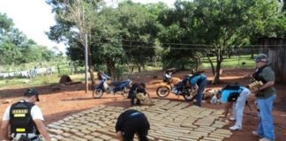 Incautan en Argentina 604 kilos de marihuana procedente de Paraguay