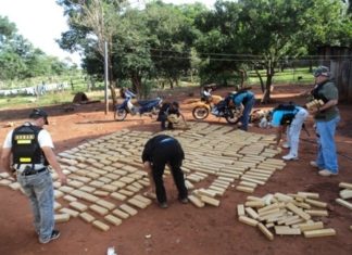 Incautan en Argentina 604 kilos de marihuana procedente de Paraguay