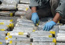 Decomisan en Perú 1.500 kilos de cocaína que iban a ser embarcados a Europa