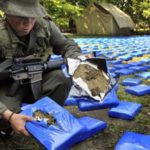 Venezuela incauta tonelada de clorhidrato de cocaína en frontera con Colombia
