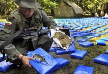 Venezuela incauta tonelada de clorhidrato de cocaína en frontera con Colombia