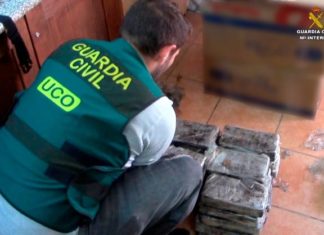 Intervienen 680 kilos de cocaína en un contenedor del puerto de Barcelona
