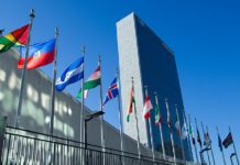 ONU debate aumentar control sobre opioides sintéticos para reducir sobredosis